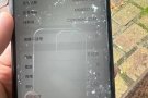 苹果8plus