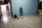 宏茂桥336招男搭房，近地铁站。