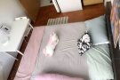 紫线 兀里 两间一套 普通房
