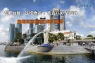 需要新加坡海运的小伙伴点进来看看吧~  新加坡海运直航专线物流