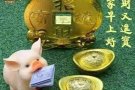 按摩一条龙