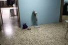 宏茂桥336招男搭房，一个人。