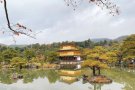 新加坡华中学霸NUS计算机学生提供Olevel /Alevel数学，化学，生物 物理,华文，中国通史等补习