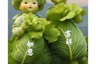按摩，推油，精油开背，保养、经络疏通、刮痧拔罐，艾灸