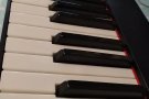 小巧电子琴 9成新 适合初学者学习用