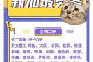 新加坡找工作，各行业都有，欢迎加微信了解~ JG233688