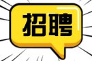 高薪急聘admin