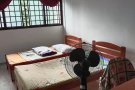 马西岭大牌137普通房出租，可以一个人住房租700，如果两个人住800