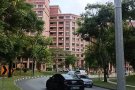 淡滨尼招男女搭房可以服务业地址