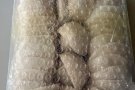 米白燕窝 3A盏