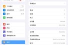 iPad2021 第九代，白色，256GB，带蜂窝网络🛜