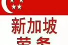 招新加坡公司木工铁工瓷砖工焊工洋灰工焊工电工
