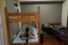 Pioneer MRT, Bedspace ,  床位无代理费