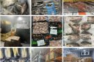 中国寄→新加坡马来西亚空运/海运冷链到新加坡，生鲜集运，可接范围：鱼类，海鲜 鱼丸  虾饺 各种水产品。