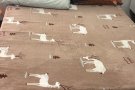 三巴旺普通房