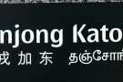 丹戎加东私人排屋，有女床位出租。