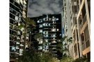 punggol 公寓式hdb两个单间出租
