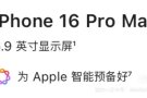 苹果16 pro max 256gb 沙漠金