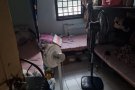 兀兰关卡女三人间床位出租