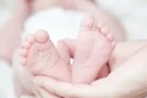 **素食家庭专属**上门育儿保姆服务 🌱👶🍲