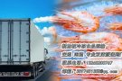冷冻食品如何运往新加坡？运输指南