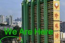 瑜伽老师证书课特价$1999，美国瑜伽联盟认证的新加坡瑜伽学校，零基础瑜伽入门瑜伽中高级瑜伽私教小班上门
