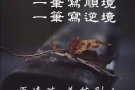 证寻单纯伴侣