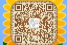 销售，柴油维修，司机，普工，文员等等！！QQ微信 3186874787