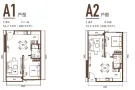 ***马来西亚高级服务式公寓，走路3分钟到关卡***