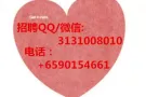 各个菜系厨师 加办理工作QQ/微信3131008010 挑选更多好单子