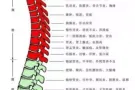 正规按摩中式指压，上门服务
