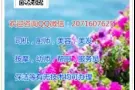 司机，美容，按摩，啤酒销售QQ微信：2071607625