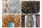 纯东北大连海参各种海鲜干懂的来