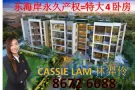 *景万岸*地铁东部新楼盘永久产权地点佳名校东海岸公园4房1216平方尺已竣工