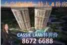 女皇镇新楼盘1分钟地铁站优质地点高楼单位植物园风景线特大4卧房DempseyRd