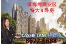 滨海湾新楼盘滨海盛景豪苑特大2/3卧房私人电梯！独特设计！新加坡金融区连接地铁站