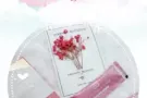 Tremella 招收批发代理