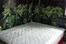 淡滨尼34街   地铁站 。单间出租