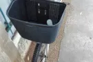 女士自行车