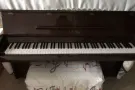 钢琴 淡滨尼自取
