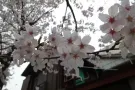 ^o^)/YES！空调服务98964831 我们以诚信  负责  专业为本  