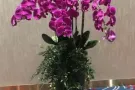 空调普通房精装版出租，文礼地铁站