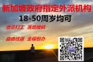 新加坡司机工作 国内司机三号四号都有 微信442849010