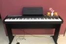 初学者的福音！9.99新电钢琴便宜出售