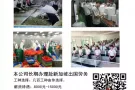 新加坡文员大全 一手单工作汇总A15554492922