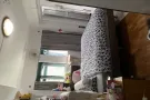 文庆地铁站C出口有大主人房出租