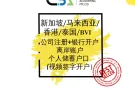 新加坡+马来西亚+香港+BVI注册公司+视频开户 (多种货币无限额/高效率) 