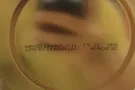美赞臣奶粉 0-12月的