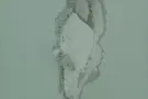 专业刷油漆，处理墙壁天花板发霉，空洞，脱落维修，贴壁纸，壁布，旧家具翻新油漆，
