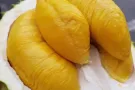 马来西亚榴莲国内现货包邮